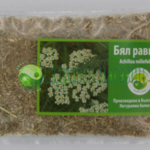 Бял равнец (цвят) – Achillea millefolium L.