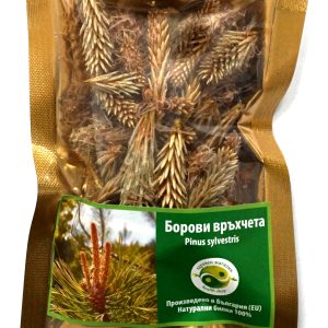 Бял бор (Pinus sylvestris) - връхчета – Pini turiones