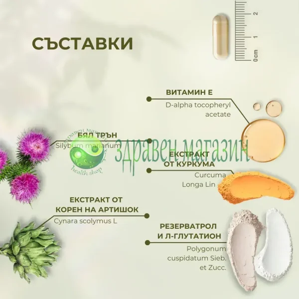 Масло от Бял трън (Silybum marianum ) 60 капсули - Image 2